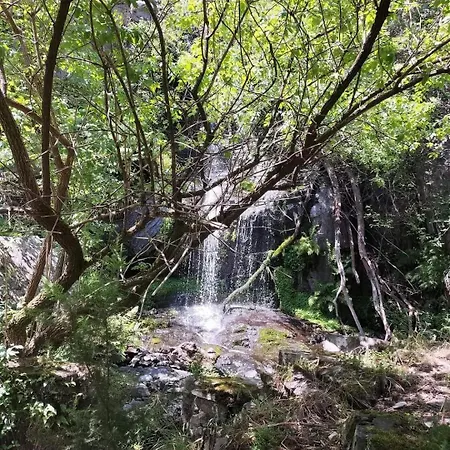 Local - Casa Ze Santos - Aldeias Do Xisto - - Covilha Sobral de Sao Miguel