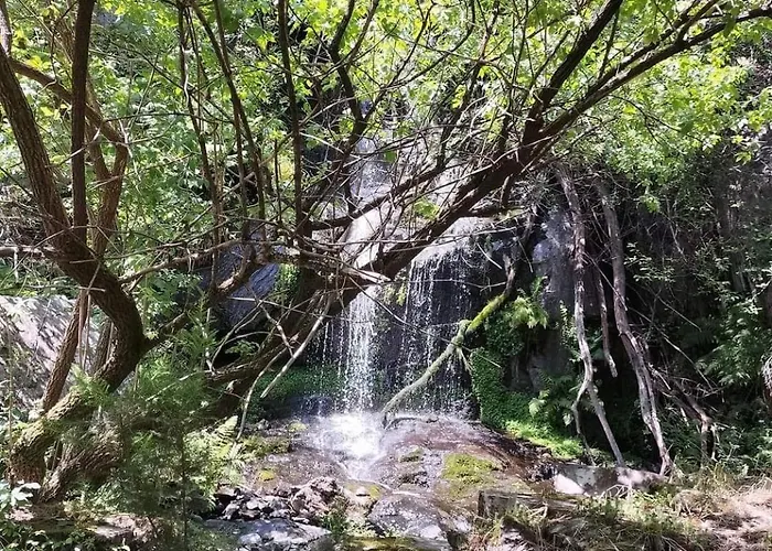 Local - Casa Ze Santos - Aldeias Do Xisto - - Covilha Sobral de Sao Miguel