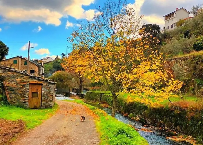 Local - Casa Ze Santos - Aldeias Do Xisto - - Covilha